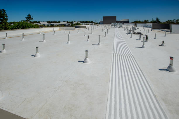 Best Roof Maintenance and Cleaning  in Brownfields, LA